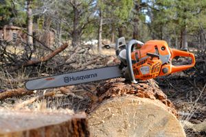 The chainsaw on a downed tree