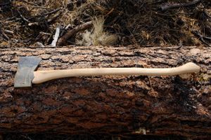 An axe on a tree