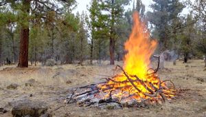 A slash pile burning