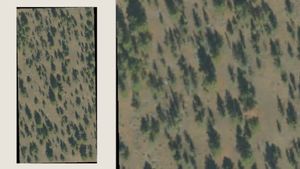 Satellite imagery of the property