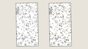 A survey showing the tree positions, colored by species